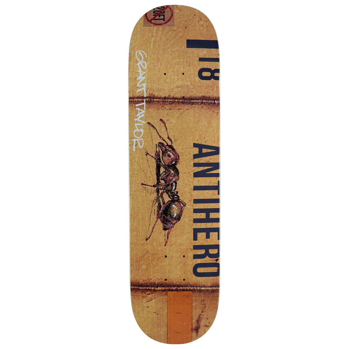Anti-Hero Taylor Intermodal Skateboard Deck - 8.32"