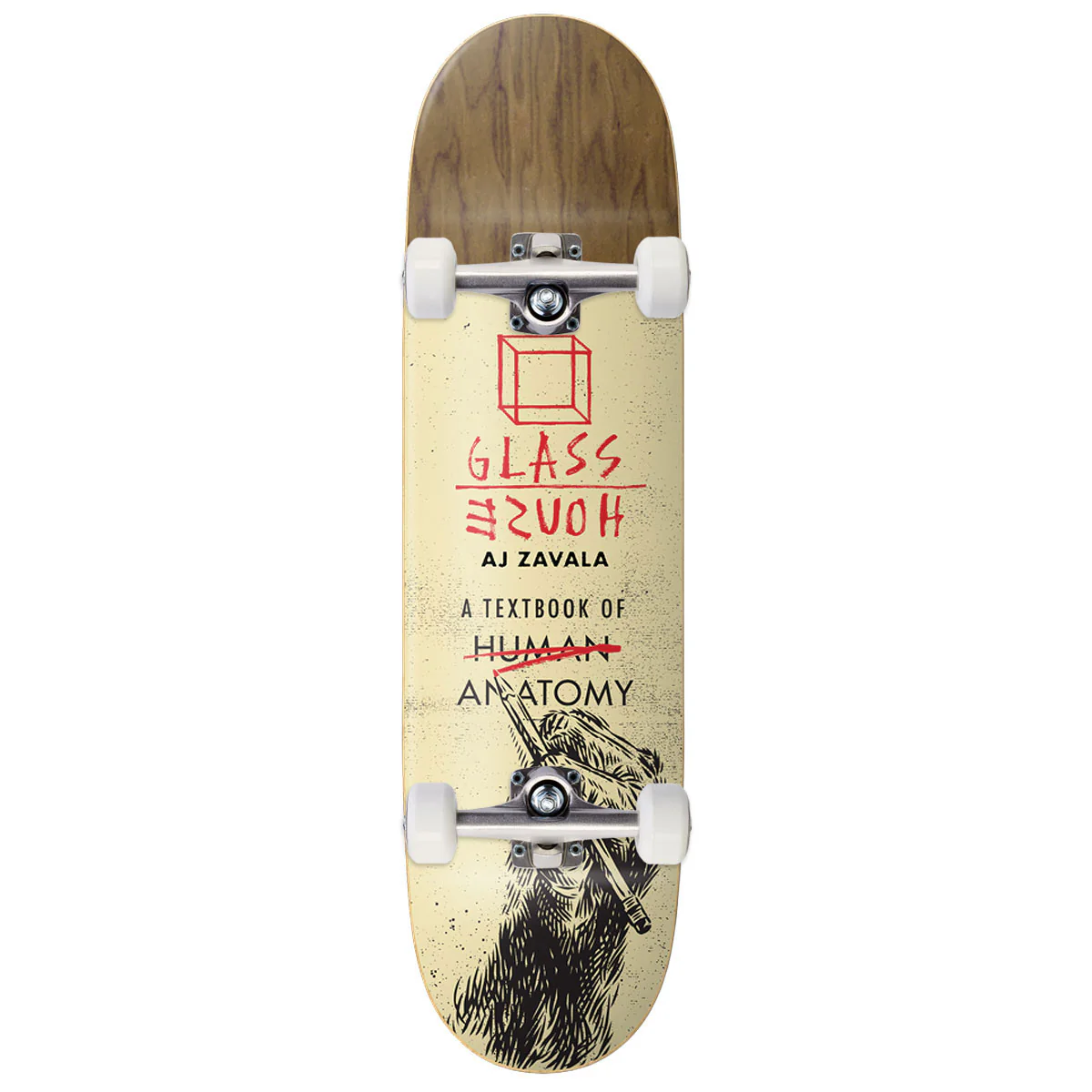 Glass House Zavala Anatomy Skateboard Complete - Assorted Veneers - 8.25"