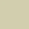 Raen Kwela 53 Sunglasses - Sage Opal/Agave - Image 4